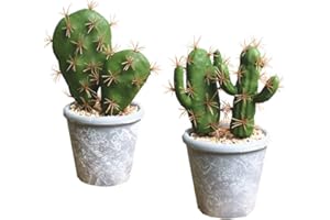 Fycooler Plantas Suculentas Artificiales Realista-Plantas Artificiales de Maceta Pequeñas Plantas Artificiales Bonitas para la Decoración Hogar y del Escritorio,Plantas Suculentas Artificiales Verdes