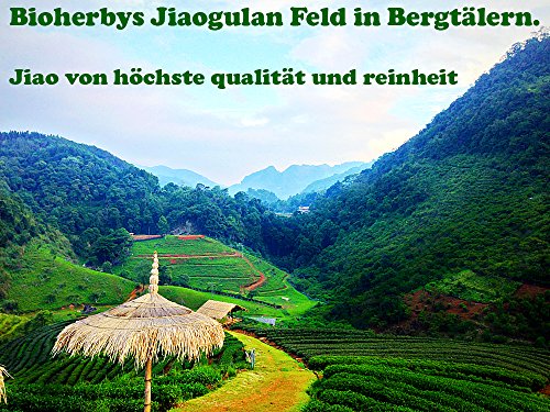 JIAOGULAN TEE – BIO AUS BERGTÄLERN – BIO ZERTIFIZIERT | BIOHERBY® - 2