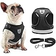 NeoStyle Dog Harness with Leash Set,No Pull Adjustable Reflective Step-in Puppy Harness with Padded Vestfor Extra-Small/Small Medium Large Dogs and Cats(S, Black(2-piece set))