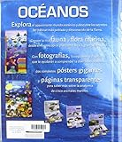 Image de Océanos (Libro De Fichas)