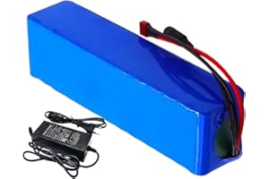 BDBLFLTZ Batterie Lithium-ION 36V 6Ah, avec système BMS intégré Chargeur, pour vélo électrique, Scooter, Outils électriques, Moteur 50W-300W T