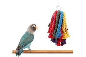 ZERODIS Juguete para masticar pájaros, colorido cuerda de algodón para colgar mascota loro morder triturar juguete forrajeo columpio perchas periquito jaula accesorios para periquito guacamayo