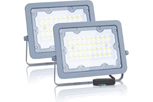 Aigostar Focos Led Exterior 2 piezas,30W 6500K LED Floodlight Exterior,luz de inundación para exteriores de 2450LM a prueba de agua IP65 para patio,jardín,garajes