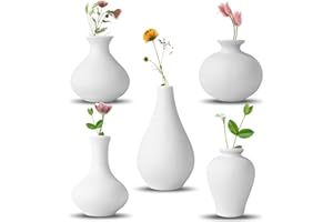 QUTHZZHY Keramikvase -Set, 5 weiße Mini -Blütenknospen -Vase, Blumenvasen für Moderne Wohnkultur, dekorative Vase für Pampasgras, Wohnzimmer, Regaldekor, Esstisch, Bücherregal, Kaminsims, Eingangs (Weiß)
