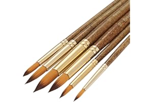 Silithus Paint Brushes 6 Pieces Set, Professional Fine Tip Paint Brush Set Round Pointed Tip Nylon Hair artist acrylic brush for Acrylic Watercolor Oil Painting (Round)