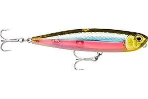 Rapala - Precisión Lure Precision Xtreme Pencil Construcción de plástico de Agua Salada - Lurer Flotante Mar - Profundidad de natación Superficial - Tamaño 10.7 cm / 21 g - Hecho en Estonia