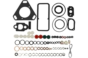 CAV Injection Pump 7135 110 Repair Kit Gaskets Seals for Ford Massey Ferguson