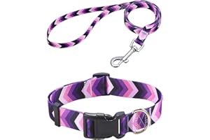Mihqy Collier pour Chien et Laisse, Motif Tendance avec Boucle à dégagement Rapide, Bohème, Fleur Design, Collier Classique, pour Petits, Moyens et Grands Chiens(Flèche Violette Set,S)
