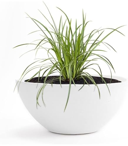 Vaso rotondo in resina Cilindro 50 cm. Bianco | Leroy Merlin