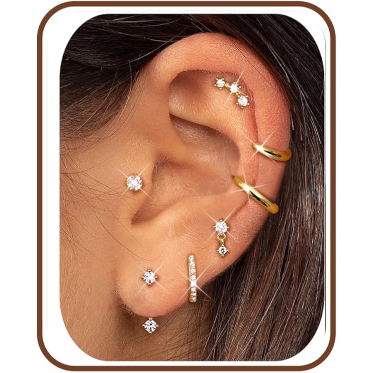 FUNEIA Oorbellen zilver 925/14K verguld dames kleine creolen oorstekers zilver goud set zirkonia stapelbaar waterdicht stekker hypoallergeen gouden oorbellen meerdere piercings oorgaatjes sieraden FUNEIA Oorbellen zilver 925/14K verguld dames kleine creolen oorstekers zilver goud set zirkonia stapelbaar waterdicht stekker hypoallergeen gouden oorbellen meerdere piercings oorgaatjes sieraden