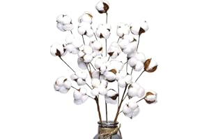 Ancokig Tallo de algodón seco natural, relleno de flores artificiales, arreglo floral para bricolaje, decoración de fiesta en el hogar (paquete de 3 unidades, 10 cabezas)