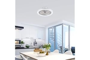 KEVO Ventilateur de plafond avec éclairage Φ48cm moderne Smart LED Plafonnier Ventilateur de plafond avec lampe et télécommande pour salon chambre [Classe énergétique A++