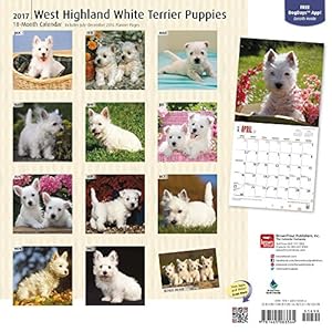 West Highland White Terrier Puppies - Westy-Welpen 2017 - 18-Monatskalender mit freier DogDays-App: Original BrownTrout-Kalender [Mehrsprachig] [Kalen