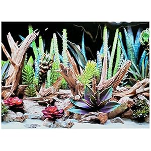 Rückwandfolie 100cm x 60 cm Rückwandposter für Terrarien