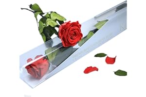 Gdecora Rosa Eterna Preservada Rojo Natural con Tallo 55cm Mujer,Mamá,Novia,Abuela - Flor Infinita para Cumpleaños, Sant Jordi y Día de la Madre - Rosas Preservadas de Ecuador