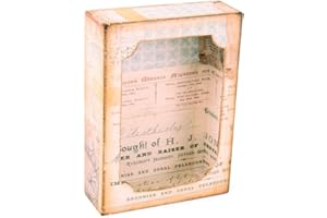 Sizzix Troquel Bigz XL con Framelits 664419 Caja de curiosidad by Tim Holtz, Papel, Multicolor, Talla única