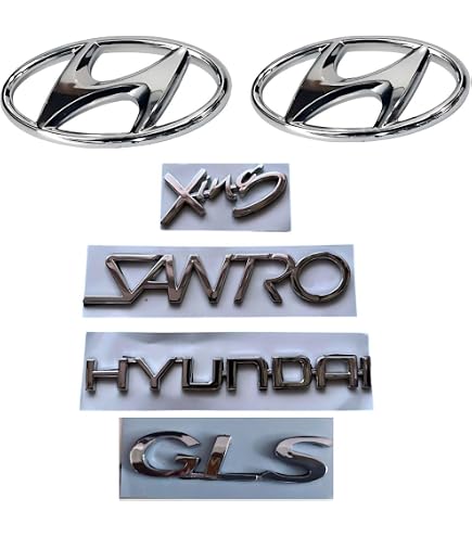 WOUXUN 3D Emblem Chrome Finish Monogram Compatible Fits SNTR XP