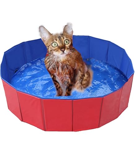 Petalum Vasca da bagno per cani e gatti, pieghevole, portatile, per animali domestici, in PVC, fondo antiscivolo, con scarico laterale (M/diametro 120 cm