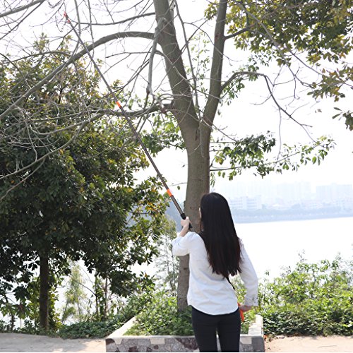 Finether Teleskop-Schneidgiraffe Teleskopschere Teleskop-Schere mit Säge Teichschere Baumschere Baumbeschneider Astschere für frische Äste und Zweige, Antihaftbeschichtet, Stahlklinge/Aluminiumstiel, Länge 1,4 – 3,1 m, orange/ champagnergelb Leichtgewicht 1.1kg - 4