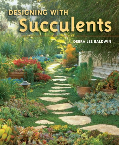 Designing With Succulents livre