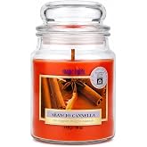 Magic Lights Candela in Giara 510g Arancio & Cannella – Stoppino in Legno Scoppiettante Effetto Camino – Cera Vegetale 75% – 
