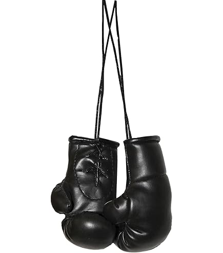 Paffen Sport Star Promo Boxhandschuhe - Deko & Souvenir Handschuhe Kunstleder