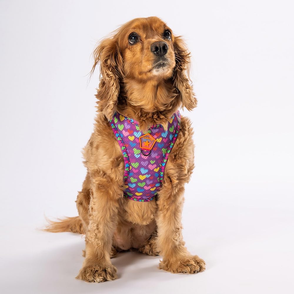 Pawstar Air-Mesh Poodle Köpek Göğüs Tasması (S) - Görsel 8