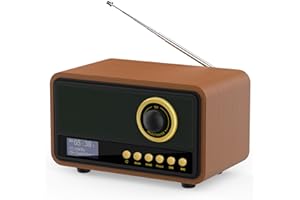Mycket Radio numérique DAB/DAB+, radio FM rétro, haut-parleur Bluetooth, batterie et réseau, lecteur de musique rechargeable avec disque AUX In/U, 80 stations préréglées, aspect bois