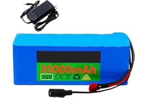 SCUUZT Batteria per Bicicletta elettrica 36V 30Ah Batteria al Litio per Bici elettrica 10S3P con Caricabatterie Batteria al Litio Batteria per Scooter 36V per Motori da 250 W a 1000 W