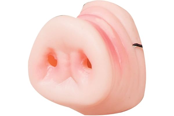 Bristol Novelty - Masque faux nez de cochon (Taille unique) (Rose)