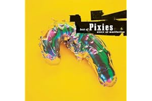 Wave Of Mutilation: Best Of Pixies
