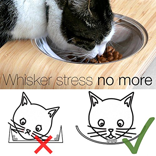 Elevated Dog Cat Bowls By Fox Fern Whisker Fatigue Proof 4