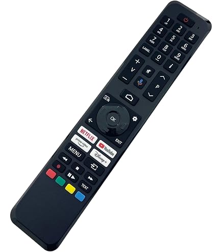 Nuovo telecomando RC45192 30115448 per uscita vocale, compatibile con