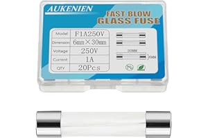 AUKENIEN 1A 1 Ampere 250V Fusibili Vetro 6x30MM Kit Fusibile in Vetro ad Azione Rapida