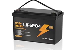 TPSOJJY 12V 100Ah LiFePO4 Batterie,Lithium Batterie 12v 100Ah mit Smart BMS Schutz 15000 Zyklen Deep Cycle Lithium Akku,1280WH Lithiums Batteries 12V 100Ah Batterien für Wohnwagen,Camping,Boote,Solarpanel