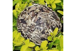 HELLOYOUNG 100g (0.22LB) Caicheng wohlriechender weißer Tee Moonlight alter Puerh Tee Puer roher Tee Schönheits-Tee-alter Baum-organischer Nahrungsmitteltee weißer Pfingstrose Tee roher Tee chinesischer Tee