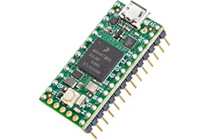 Teensy 4.0 (con Perni)