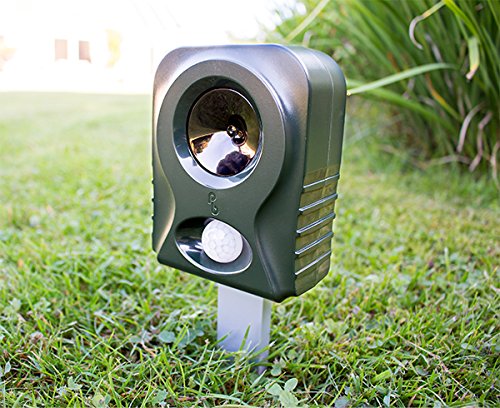 Pestbye Katzenvertreiber „V2“ mit HyperResonance Frequency - 3