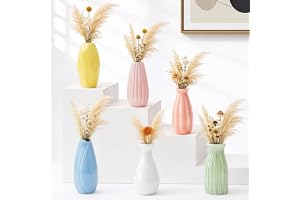 Keramisk vas, litet vas-set, 6 former och färger blomvas modern, glänsande glasyr minivaser, boho pampasgräs, liten dekorativ