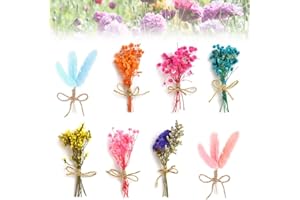 HAOMEEDUO 8 Pcs Mini Flores Secas para Manualidades Flores Naturales Secas Decoración Secas Flores Preservadas Resina Flores Secas Prensadas Flor Seca para Scrapbooking Artesanía Decoración Floral