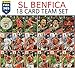 Produktbild FIFA 365 2018 Benfica komplettes Basis- Team Set - 18 Karten inklusive all 6 FOLIE KARTEN - Panini Adrenalyn XL