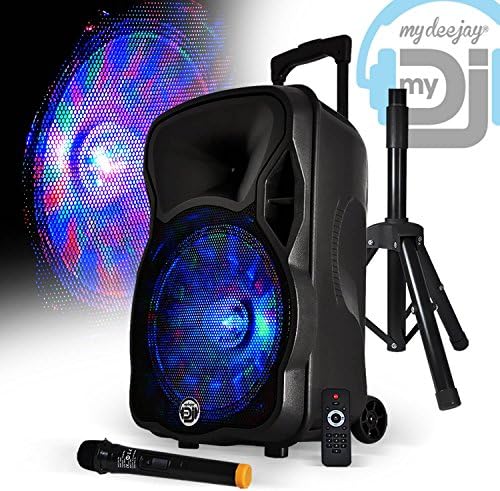 MyDJ Magik - loudspeaker, sound system, karaoke, battery 12 inches 600W - Friztal effect + wireless microphone + stand