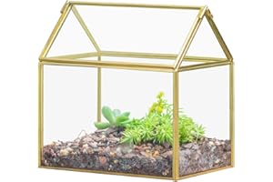 NCYP 15,5x16x11cm Terrario pequeño de Vidrio Hecho a Mano con Tapa, Maceta Dorada con Forma de casa para Plantas, geométrico Maceta de decoración de Mesa de jardín (sin Plantas, no hermético al Agua)