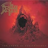 The Sound Of Perseverance [VINYL]