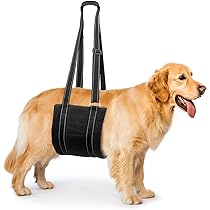 Calzini Antiscivolo Per Cani - 8 Pezzi Con Suola In Silicone | Taglia L Per Cani Grandi - Foto 2