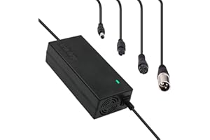 SEILYLANKA 29.4V 2A Caricabatterie bici elettrica scooter ebike 29,4V batteria Li-ion 24V 7S