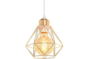 TOKIUS Lámpara Colgante Retro Diseño de Jaula de Hierro Dorado Ø 16cm Vintage Lámparas de Techo E27 Iluminación de Techo de Interior para Pasillo Salon Cocina Dormitorio (Colgante 1 Luz - Oro)