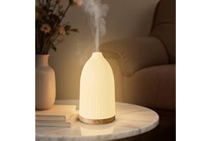 SALKING Diffusor eteriska oljor 100 ml, luftfuktare eterisk olja