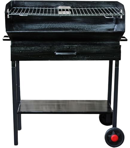 BBQ A CARBONE E LEGNA C/CAPPA TOLOSA | Leroy Merlin