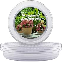 Soucoupes Pour Pots De Fleurs Carrées Transparentes - Lot De 10 - 15,5 X 15,5 X 2,5 Cm - Plateau De Récupération D'eau